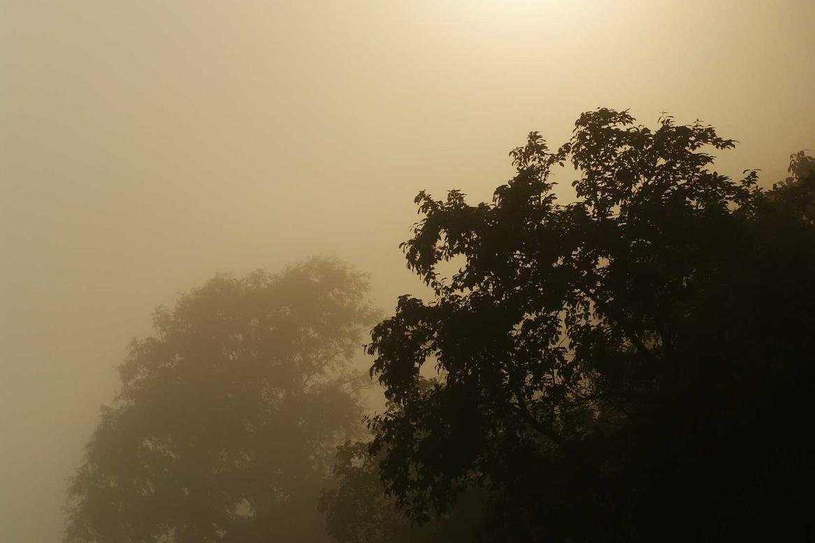 Delectus est occaecati delectus sunt